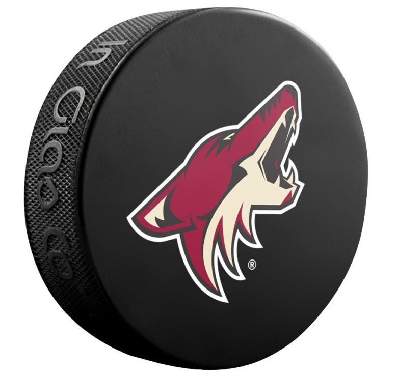 InGlasCo Fanouškovský puk NHL Logo Blister (1ks)